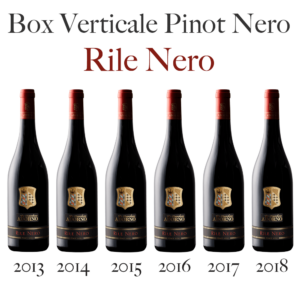 Verticale 6 bottiglie di Pinot Nero - Rile Nero