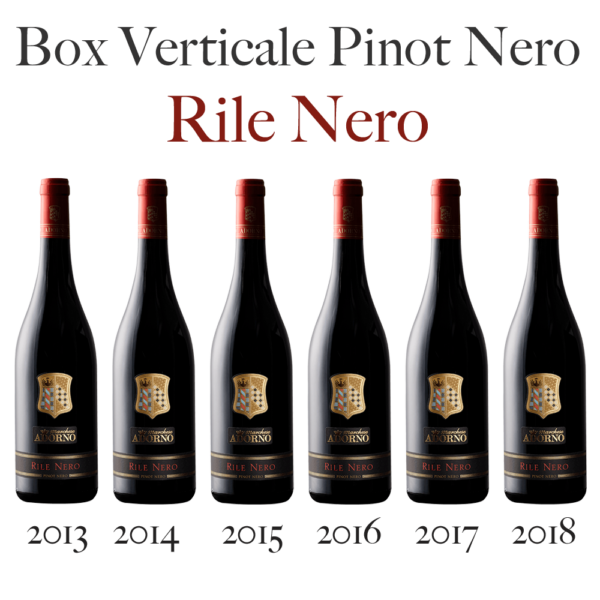 Verticale 6 bottiglie di Pinot Nero - Rile Nero